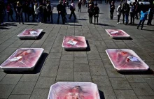 Animal Rights Protest in Barcelona | Amusing Planet