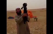 Goat yelling in the desert