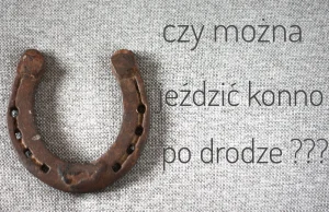 Czy można jeździć konno po drodze?