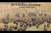 Buffalo Roundup 2019 Park stanowy