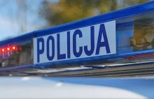 Sosnowiec: Trzy nastolatki niszczą fontannę. Szuka ich policja [WIDEO]