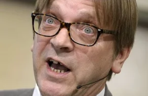 A jednak Verhofstad będzie musiał "odszczekać" słowa o Polakach!