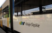 Śląskie: Kto zapłaci za pociągi na terenie GZM? Spór metropolii i województwa