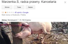 Nowy profil kancelarii Marzeny S. Sarapaty w Google