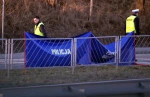 Absurdalne opinie biegłych. Droga hamowania samochodu to...kilka kilometrów.