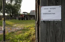Ukraina grozi przywróceniem embarga na polską wieprzowinę
