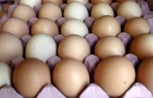 Po wprowadzeniu Unijnych przepisów sprzedaż jaj spadła aż o 30%