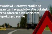Dlaczego w Polsce tyle osób ginie na drogach? Bo wszystko działa nie tak