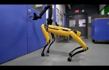 Pies-robot otwiera samodzielnie drzwi