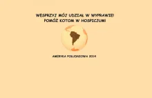 Apel do wykopowiczów: Wesprzyj wyprawę, pomóż zwierzętom w Hospicjum dla Kotów!