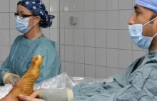 Zwichnął kostkę, amputowali mu nogę. Aż 68 lekarzy objętych śledztwem