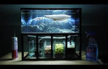Aquarium model 10 - Mini Arowana Fish Tank/ Make Arowana Fish...