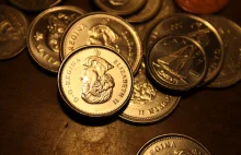 Monety, numizmaty, medale - jak się w tym połapać?