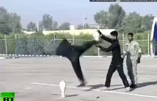 Iranian military vs vase: Epic fail