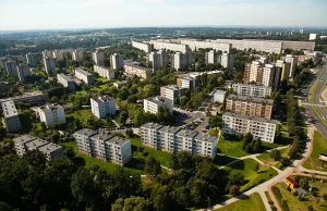 Zabójstwo w Jastrzębiu: 40-latek zasztyletował 24-latkę, gdy wyszła z psem.