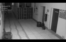 Deerpark Cbs School Poltergeist Videos 1 and 2. REQUESTED
