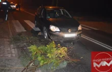 Szczyt głupoty! Ustawili pułapki na drodze i schowali się w krzakach