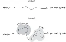 Jak działa mózg introwertyka