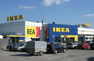 IKEA wycięła 600-letnie drzewa?