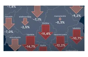 Depopulacja w Polsce [INFOGRAFIKA]