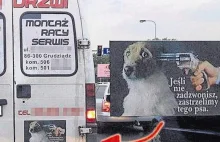 Grudziądz: Pies z rewolwerem przyłożonym do skroni. Reklama firmy wywołuje szok.