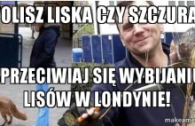 Sprzeciw wobec tępienia lisów w Londynie