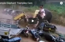 Słoń niszczy motocykle