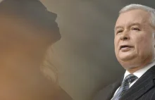 Kaczyński ma adoratorkę! Chce z nim zamieszkać, kocha jego kota