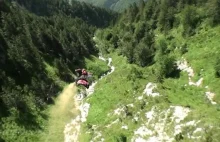 The Need 4 Speed: Mountain Carving.