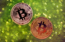 Bitcoin Cash osiąga rekordową wartość po odwołanym forku Segwit2x