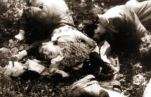 Zbrodnia UPA w Wiśniowcu, 21 luty 1944