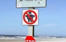 11 Dziwacznych Znaków na Plaży