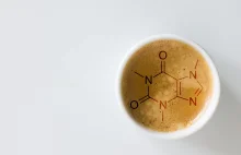 Kofeina - jak to z nią właściwie jest? • Coffee Plant