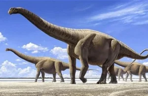 Amficelias, największy dinozaur jaki stąpał po Ziemi?