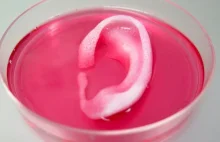Naukowcy wydrukowali na bio-drukarce 3D ucho ludzkie