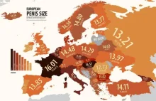 Długość penisów w Europie
