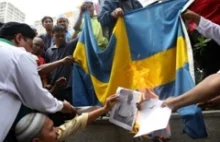 Szwecja: Rząd walczy z 'uprzedzeniami'