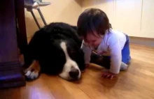 Pies lubi dzieci Śmiech