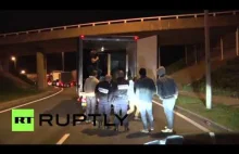 Imigranci w Calais włamują się do ciężarówki, która przewozi niedźwiedzia.