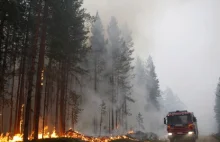 Szwecja w ogniu. Płoną lasy od Koła Podbiegunowego po Bałtyk