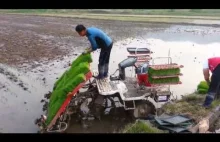 Maszyna do sadzenia ryżu