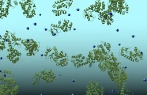 Jak szybko jeżdżą chemiczne pociągi w żywych komórkach?