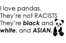 Panda przeciwko rasizmowi