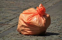 Instytut Sobieskiego: Segregacja śmieci wymaga reformy (ANALIZA