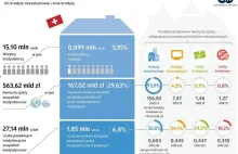 BIK prezentuje portret frankowców – w najgorszej sytuacji są klienci z...