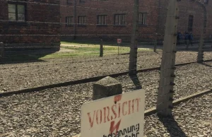 Skazany został tylko co 11. oprawca z Auschwitz!