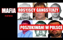 Rosyjscy gangsterzy poszukiwani przez polską policję | Mafia News
