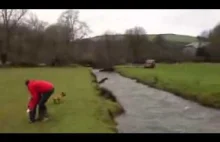 Pies przeskoczył szerokość rzeki