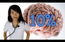 Czy używamy tylko 10% mózgu?