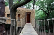 Luksusowy domek na drzewie za ponad 150 000 $